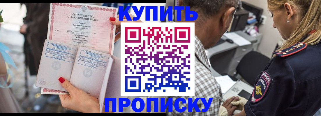 прописка законно в Белокурихе